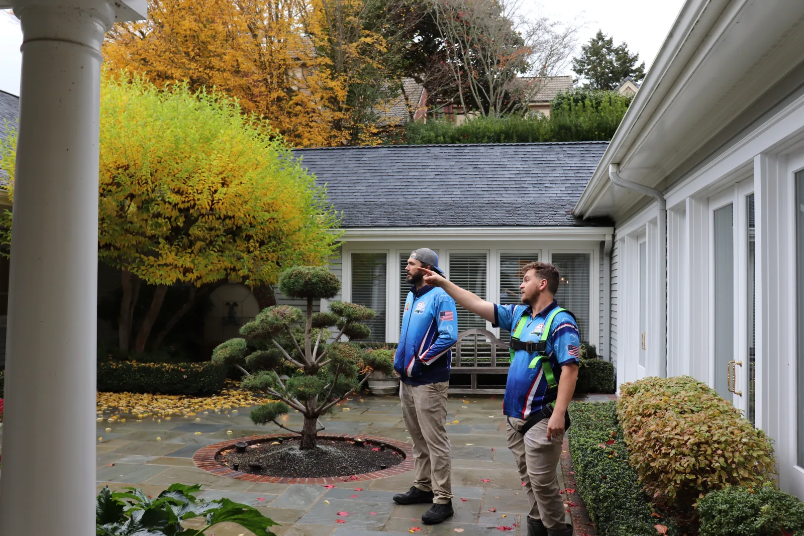 Roof moss removal before and after results (verify)