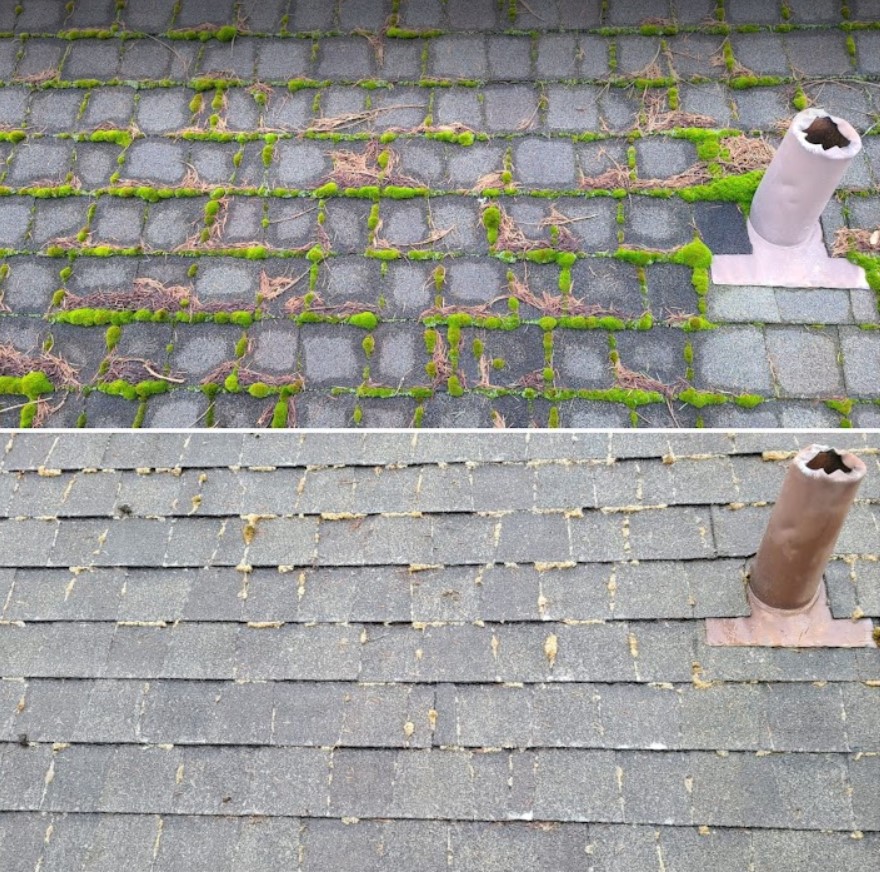 Roof before and after professional soft wash moss and algae removal