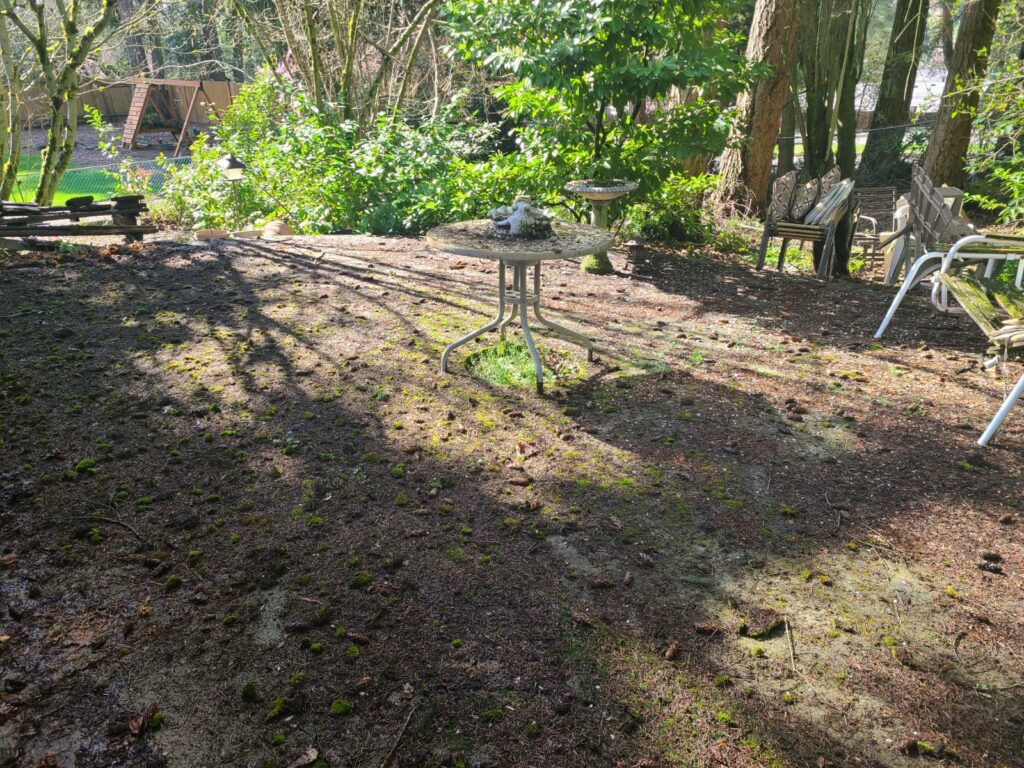 A dirty patio before Homefront Power Wash power washed it clean at a home in Redmond, WA | Homefront Power Wash Customer