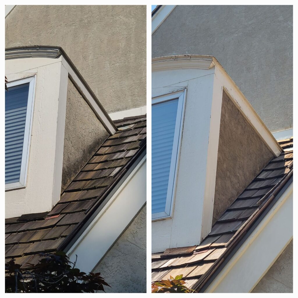 Stucco with black mold before and after a roof cleaning and soft wash with Homefront Power Wash